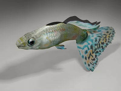 Vibrant Aquatic Fish With Colorful Scales Spotted Tail Large Eyes And Shimmering Body 3d model