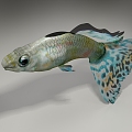 Modern Fish 3d model