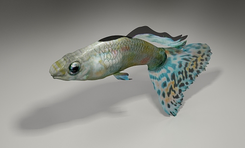 Modern Fish 3d model