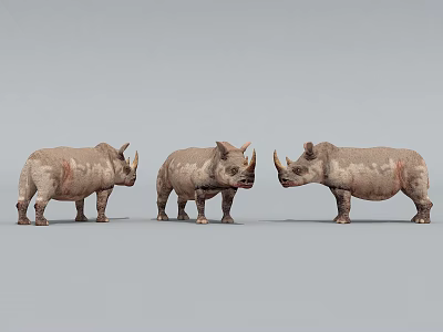 Three Lifelike Reptile Models Standing In Line On Gray Surface 3d model