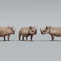 Three Lifelike Reptile Models Standing In Line On Gray Surface