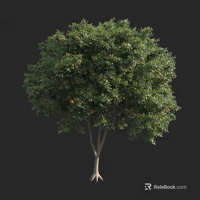 Tall Mature Tree With Dense Green Canopy And Sturdy Brown Trunk 3d model 