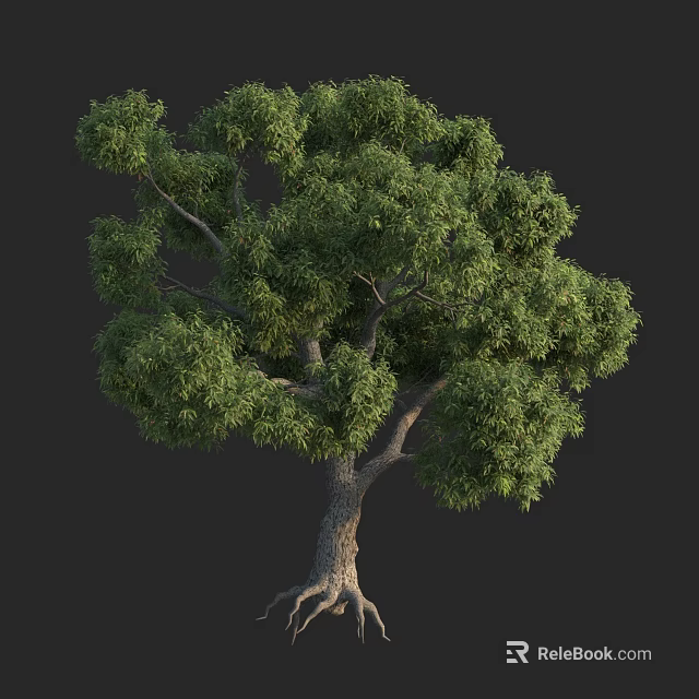 Arbor With Lush Green Foliage Thick Trunk And Exposed Roots 3d model 