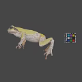 Green Frog Next to Colorful Rubik's Cube on Gray Background