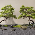Luo Han Pine Stone Landscape Stone Ting Step Courtyard Sketch 3d model