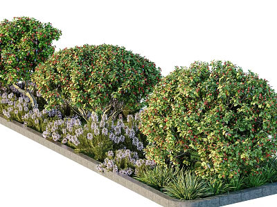 Lush Green Bushes With Red Berries And Purple Flowers In Garden Bed 3d model