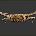 Red Crab with Long Legs and Complex Shell on Dark Background 3d model