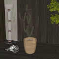 Indoor Cactus Bonsai Plant in Ceramic Pot with Wooden Wall and Floor Lamp