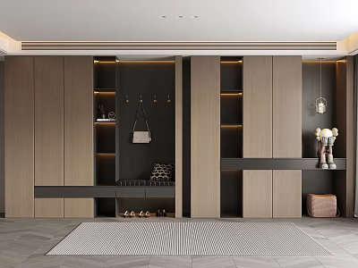 Modern Entryway Shoe Cabinet Design With Wooden Storage Hanging Hooks And Decorative Rug 3d model