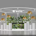 Circular White Display Shelves With Glass Bell Jars Decorative Fans And Green Plants