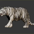 Realistic White Tiger Figure With Black Stripes And Blue Eyes In Standing Pose