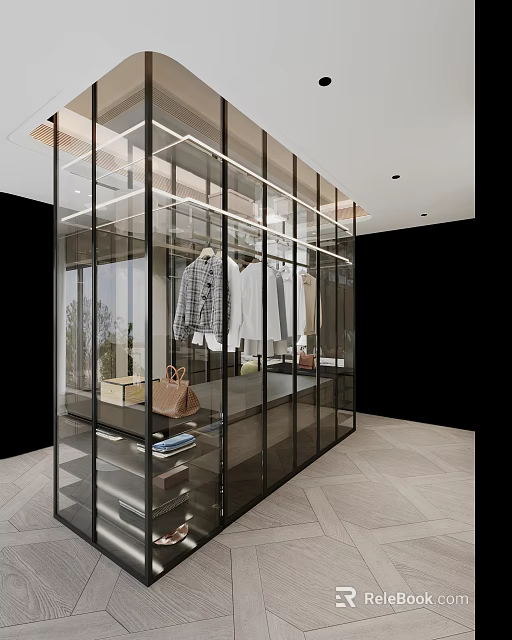 Modern Glass Fronted Wardrobe Interior Design With Black Frame Hanging Clothes And Storage Bags 3d model 