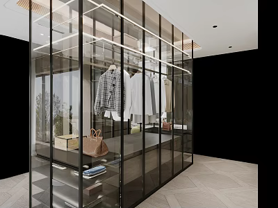 Modern Glass Fronted Wardrobe Interior Design With Black Frame Hanging Clothes And Storage Bags 3d model