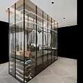 Modern Glass Fronted Wardrobe Interior Design With Black Frame Hanging Clothes And Storage Bags