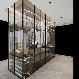 Light Luxury Glass Wardrobe Clothing 3d model