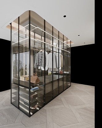 Light Luxury Glass Wardrobe Clothing 3d model