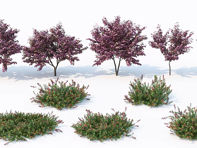 Beautiful Arbor Trees With Purple Flowers And Green Shrubs On White Background 3d model