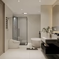 Modern Bathroom Interior With Glass Door Shower Free Standing Bathtub Vanity Toilet And Potted Plant