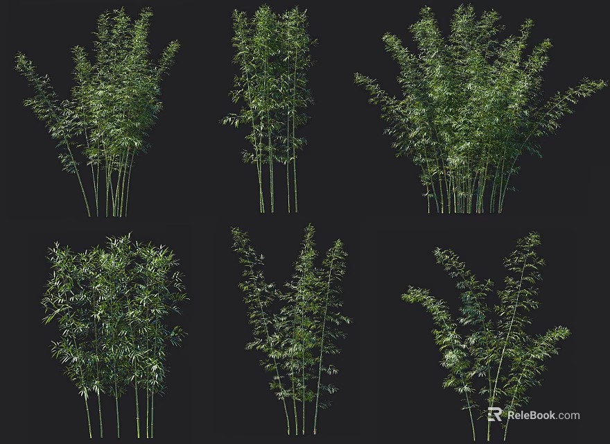 Various Bamboo Types With Lush Green Leaves In Natural Growing Clusters 3d model 
