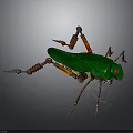 Mechanical Insect With Green Body And Orange Brown Metal Legs Red Eyes