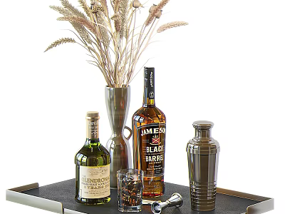 Elegant Liquor Bottles and Glass with Dried Flowers Vase Shaker on Tray 3d model