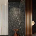 Modern Foyer Hallway With Dark Marble Wall Bronze Slats And Decor