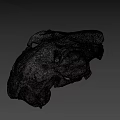 Detailed Animal Skull Specimen With Natural Bone Structure And Texture