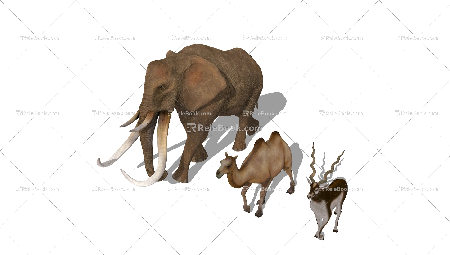 Elephant 3d model