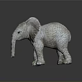 Light Colored Elephant Statue With Textured Surface Standing On Smooth Gray Background 3d model