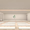 Spacious Yoga Studio With Hanging Hammocks Yoga Mats And Large Windows Green Plants View