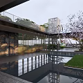 Contemporary Commercial Street Landscape With Glass Facade Reflecting Pool And Cherry Blossom Tree
