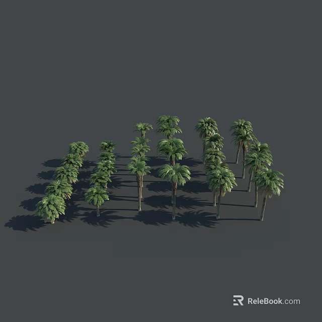 Tall Palm Trees Neatly Arranged With Long Shadows Against Gray Background 3d model 