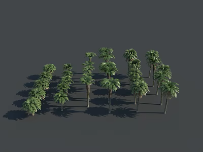 Tall Palm Trees Neatly Arranged With Long Shadows Against Gray Background 3d model