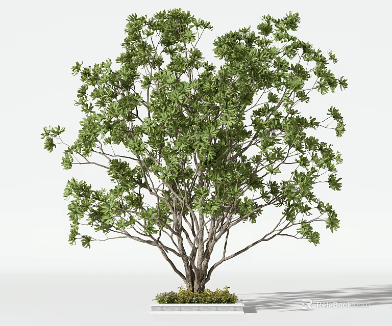 Lush Green Arbor With Dense Healthy Leaves Strong Branches And Natural Trunk 3d model 