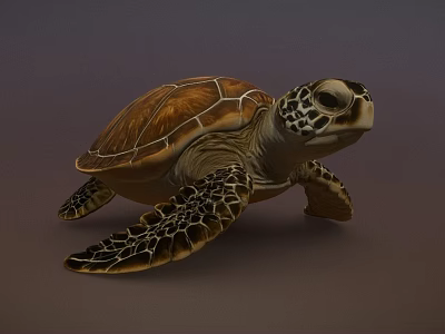 Sea Turtle With Brown Patterned Shell And Detailed Flipper Texture In Marine Environment 3d model