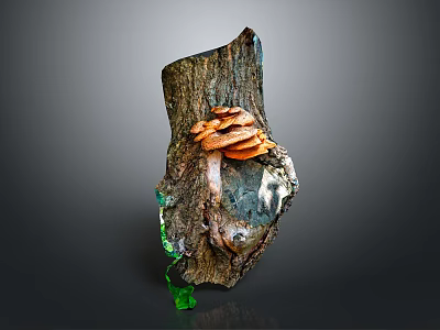 Natural Wood Stone Stump Sculpture With Orange Mushrooms And Detailed Texture 3d model