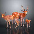 Three Spotted Deer Including Adult With Antlers And Fawn On Dark Background