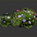Heart shaped green plant with vibrant colorful flowers purple pink blue yellow and green leaves