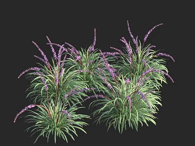 Vibrant Purple Flowers With Lush Green Grass In Natural Clusters 3d model
