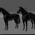 Two Gray Horses Standing Together One Without Gear And One With Saddle Harness