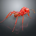 Red Ant 3D Render With Detailed Body Structure On Dark Background 3d model