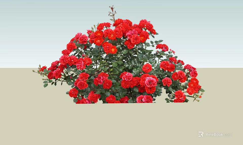 Garden Landscape Showcasing Vibrant Red Roses with Lush Green Foliage in Bloom 3d model 