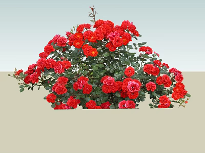 Garden Landscape Showcasing Vibrant Red Roses with Lush Green Foliage in Bloom 3d model
