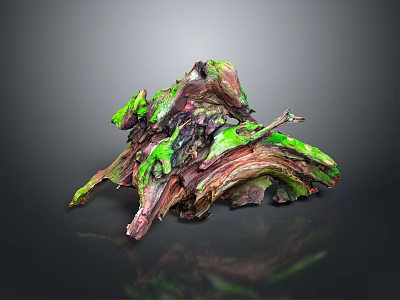 Lush Green Moss Plants Growing On Weathered Driftwood Natural Decorative Piece 3d model