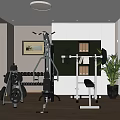 Home Gym Sports Equipment Including Squat Rack Barbell Dumbbell Rack Bench And Potted Plant