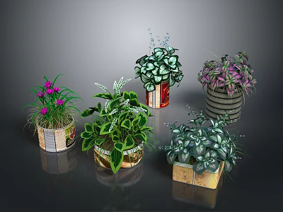 Various Types of Potted Plants with Green Purple Leaves and Decorative Pots 3d model