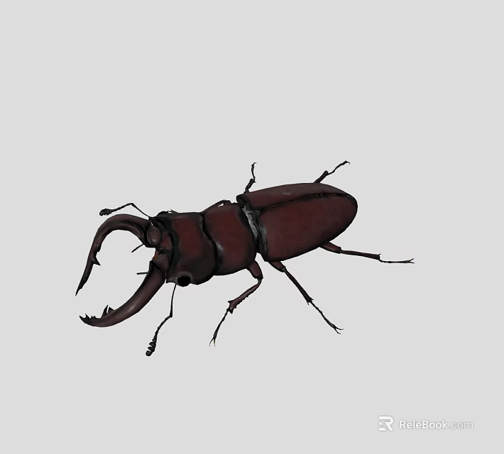Wild Red Reptile Lizard With Large Mandibles And Dark Body Structure 3d model 