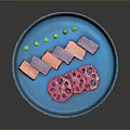Salmon Slices On Blue Plate With Purple Food Cubes Pink Lotus Root And White Sprinkles