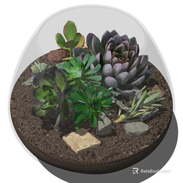 Bonsai Succulent Potted Plant in Transparent Glass Container with Green Purple Succulents Stones and Soil 3d model 