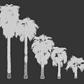 Modern Palm Tree 3d model